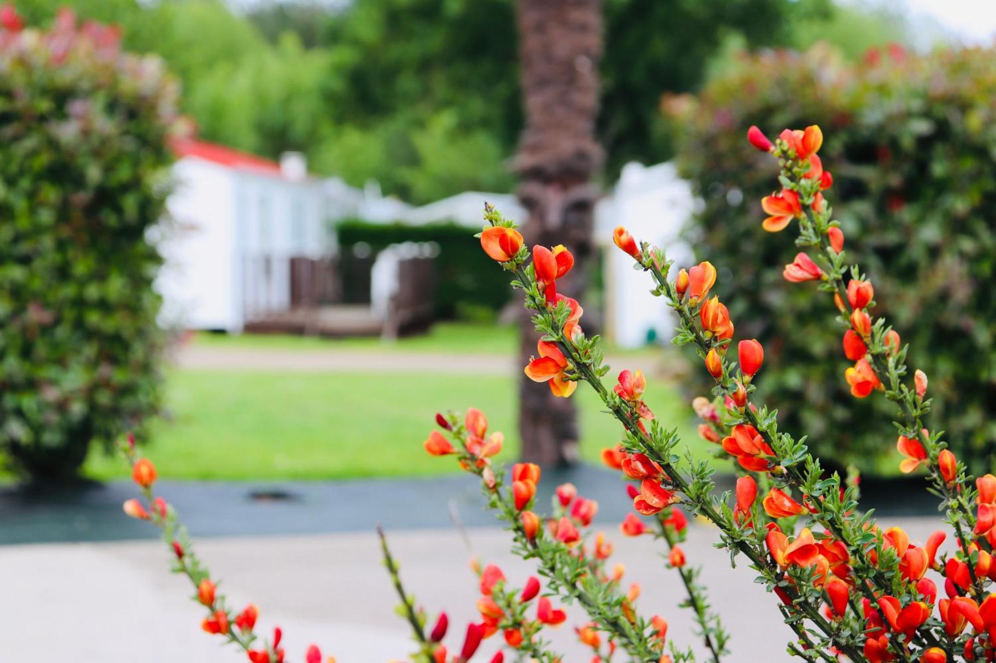 Camping Les Mancellieres Avrillé Exterior foto