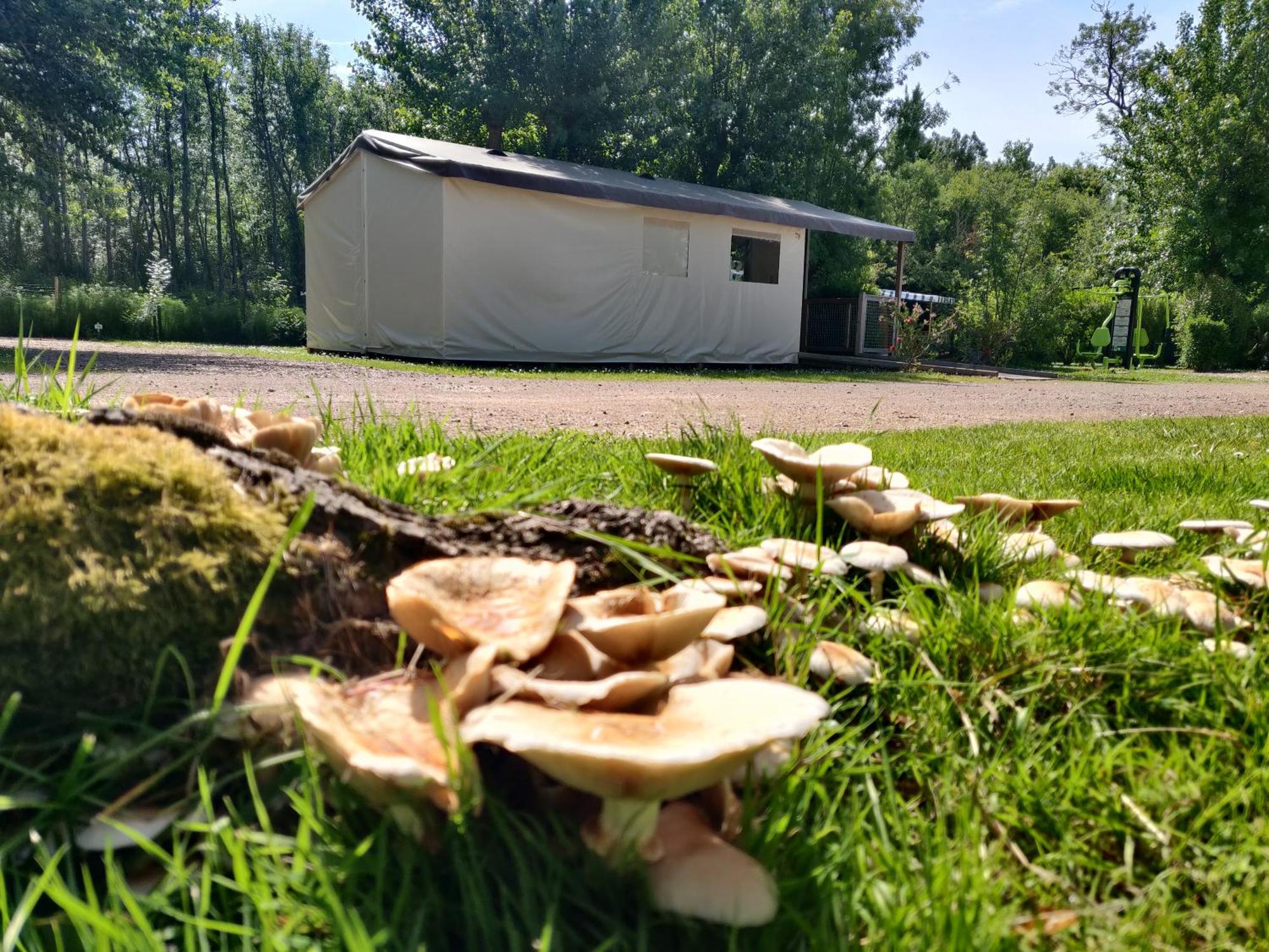 Camping Les Mancellieres Avrillé Exterior foto