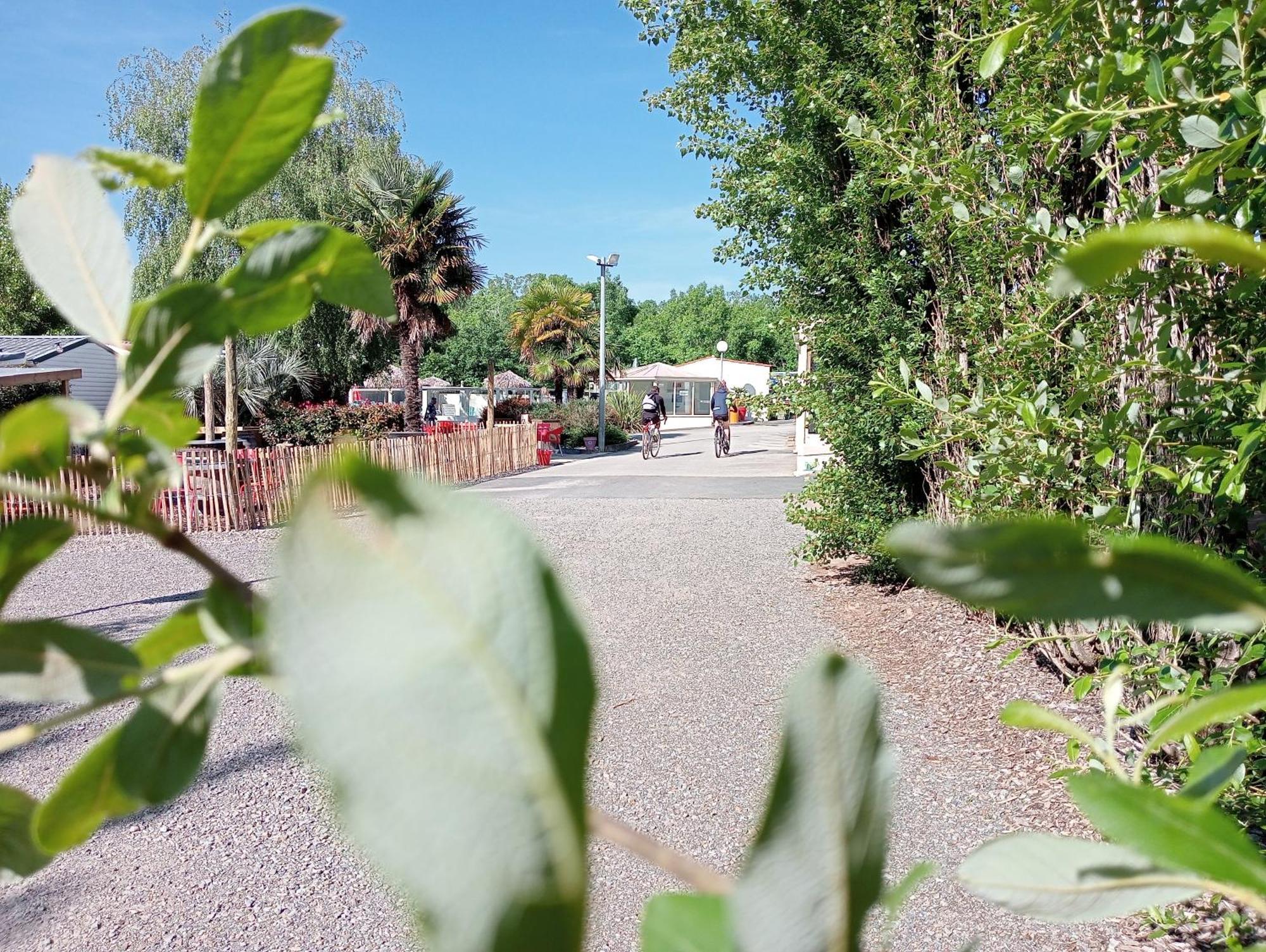 Camping Les Mancellieres Avrillé Exterior foto